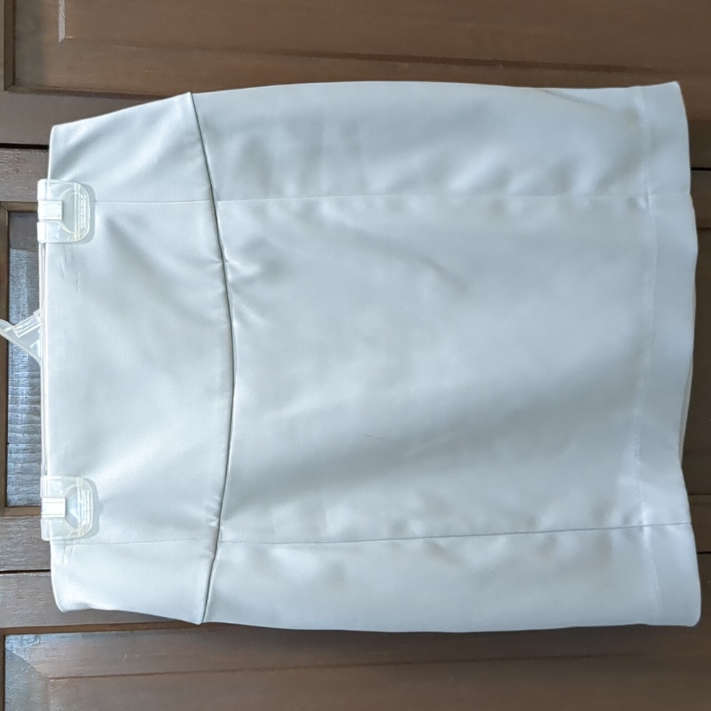 Shiny Silver Pencil Skirt from Express